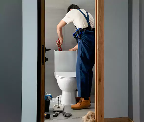 Professional Plumbers for Toilet Bowl Replacement in North Babylon, NY: Schedule Affordable Toilet Replacement Services With Us